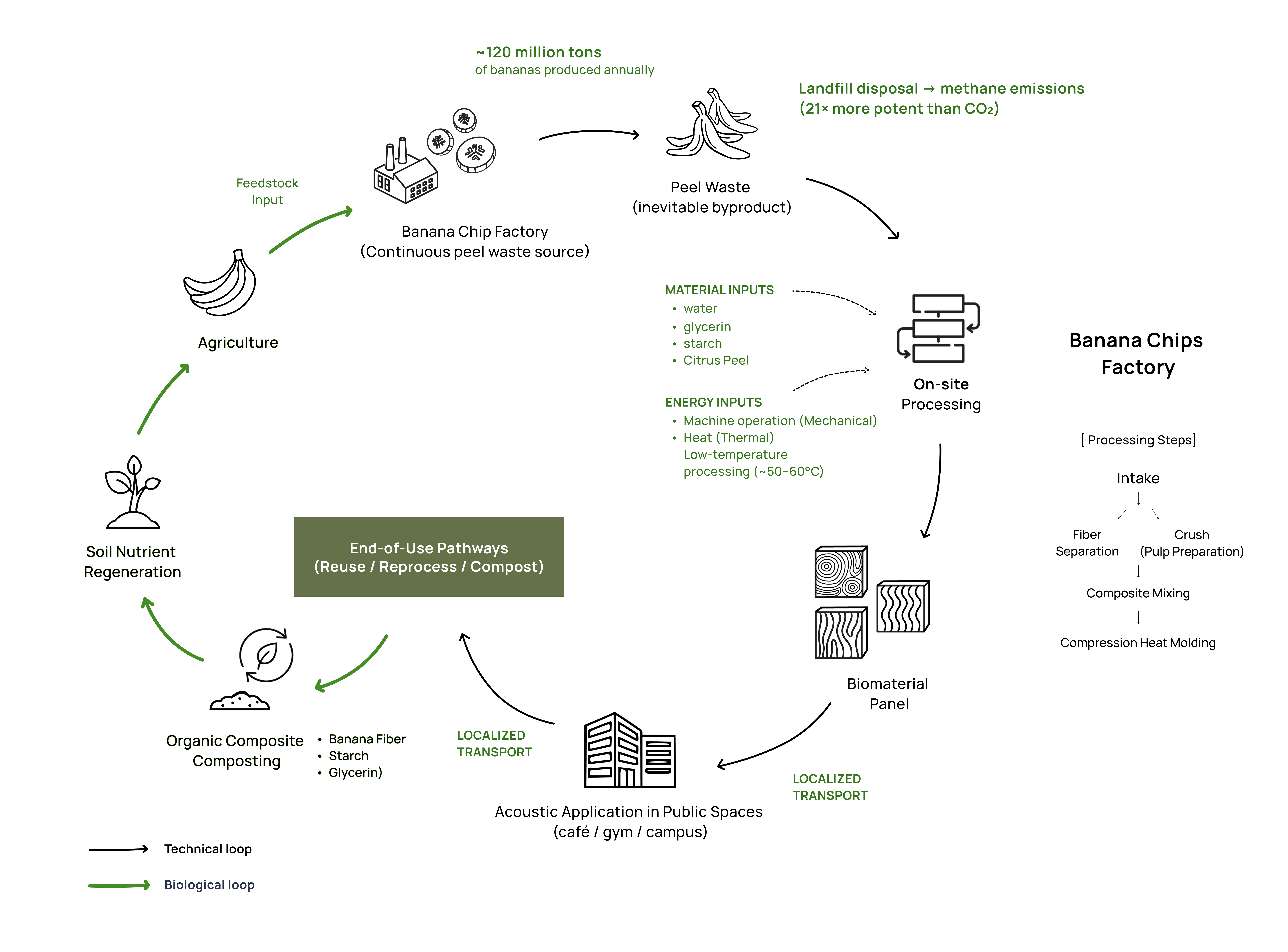 Banana peel circular system diagram