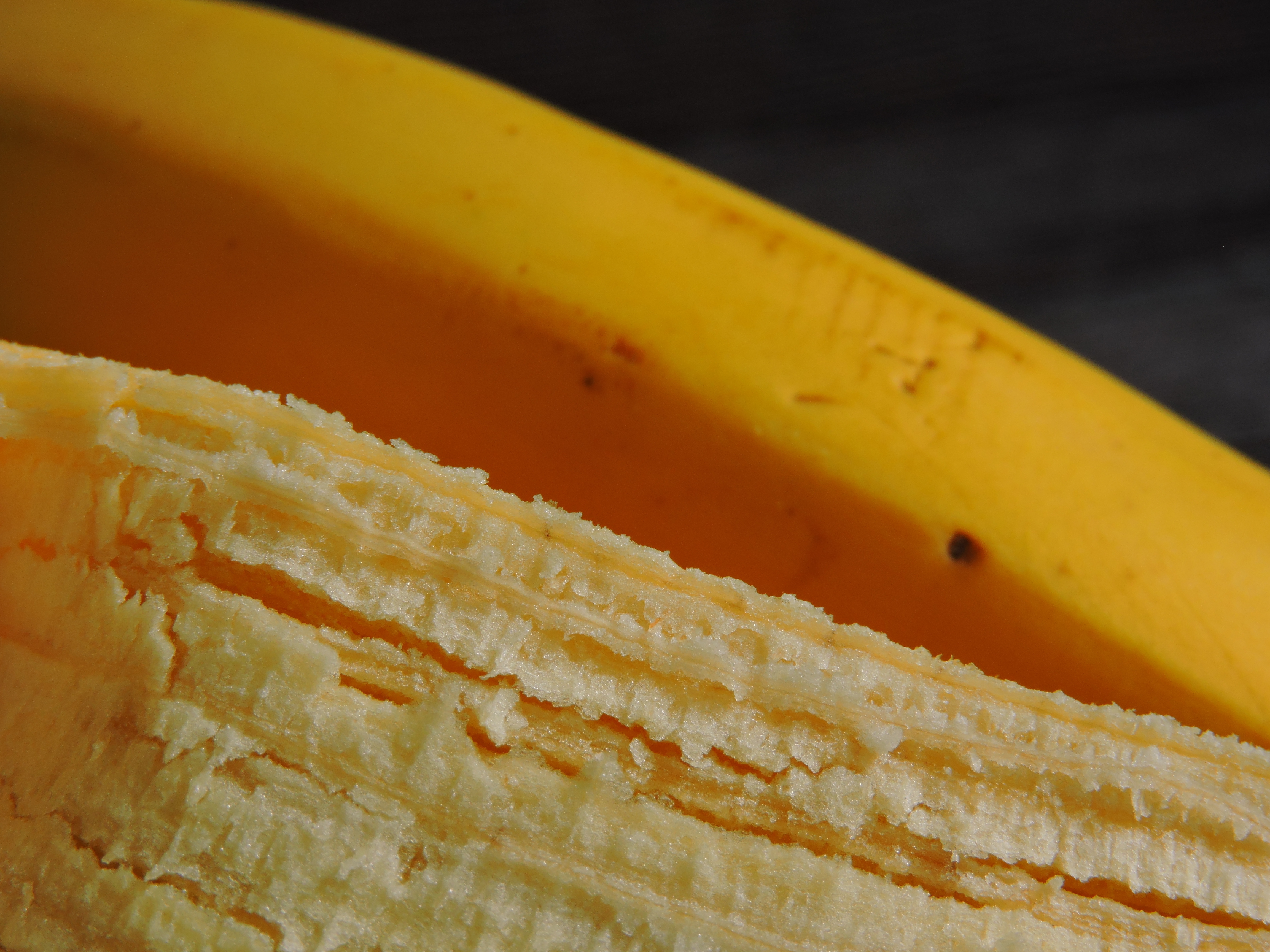 Banana peel fiber texture