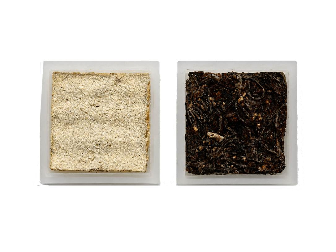 Biomaterial panel samples