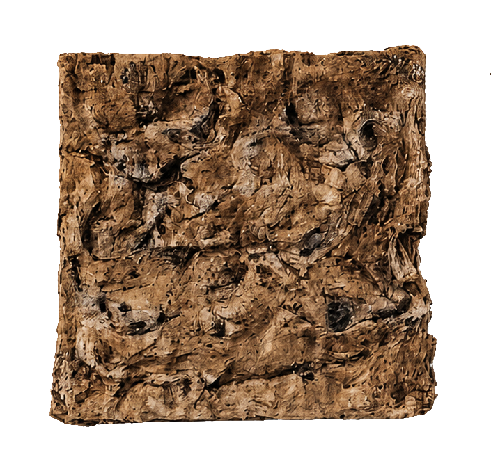 Raw fiber surface sample